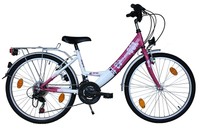 HARMONIA 24 Zoll Fahrrad Kinderfahrrad 24" 18 Gang SHIMANO STVZO