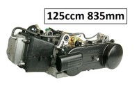 Komplettmotor Motor Komplett 125ccm 835mm Kreidler RMC D125 F125 Kymco CK  125