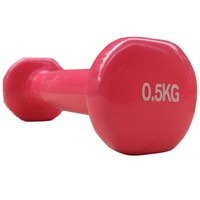 Vinyl Gymnastikhantel Kurzhantel Hantel Aerobichantel Aerobic Reha Physio 