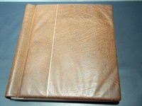 Bund  Sammlung 1949-1976 im  Leuchtturm Vordruckallbum  ** (S1133)