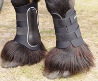 Kaltblut Gamaschen, Gamaschen, schwarz, Sehnenschoner, Größe KB XL, 36-38 cm