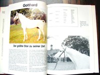 Die berühmtesten Hannoveraner * Hengste Stuten Sportpferde * viele Fotos 1987