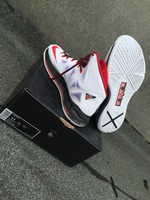 Nike Lebron 10 X "Heat Home" weiß rot US 11 EUR 45 mit OVP Basketball Jordan