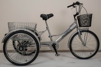 DREIRAD FÜR ERWACHSENE SENIORENRAD FAHRRAD SCHEIBENBREMSE 6 GANG SCHALTUNG 