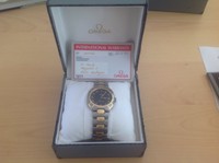 Omega Seamaster Titan/Gold mit 11 Diamanten, Herrenuhr