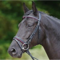 Waldhausen Star Trensenzaum Diamond mit Strass rot blau fuchsia grün