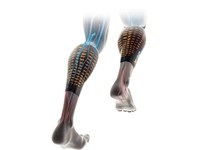 Neu! X-Bionic Spyker Triathlon Beinlinge Damen,Herren