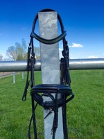 Trense Otto Schumacher Stockholm