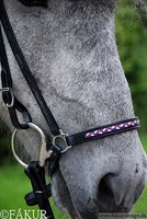 Schöner hann. Nasenreiemen von Fakur geflochtener Biese Isländer Islandpferd