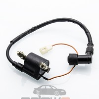 Yamaha PW80 Zündspule mit Zündkabel und Zündkerzenstecker 88-06