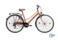 28 Zoll Mifa Damenfahrrad Trekkingrad Citybike  Damen Fahrrad 7- Gang Rad NEU