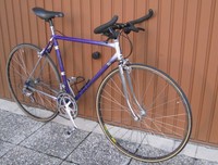 Titan Columbus Rahmen Schweizer Rennrad Damenrad RH52cm ideal Fixie