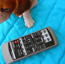 New listing
Original Oem! Sharp Rrmcg0266Awsa Audio Remote Fits Cd-Ba3100 - Fully Tested!
