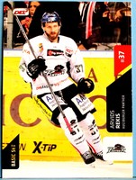 Playercard - Eishockey DEL Basic Serie 2 15/16 - Arvids Rekis #37