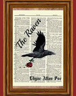 Edgar Allan Poe Dictionary Art Raven Rose Story Print Book Page Quote Picture
