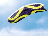 2-Leiner-Lenkmatte "Sky Blaster" - 4 Meter Spannweite - Stabloser Lenkdrachen