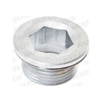 CAMPAGNOLO Ersatzteile Schraube und Muttern für KRG, AT/CE/VE 8033874118382