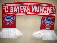 Schal Home Kids/Kinder 2015 FC Bayern München mit Fransen