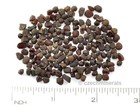 15.75g Garnets Garnet from Czech (3-4mm TL2.7) wholesale lot 78.75cts OTHER289