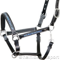 Neu Heinick Leder Halfter ~ ProLine Malia Blue  ~ hochwertiges weiches Leder