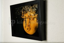 Lemon splashing in water - 8x10 picture - inside shadowbox, ready to hang