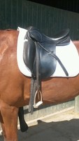 *Top Angebot*Stübben Dressursattel Scandica 17,5 Zoll