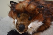ditz stuffed animals