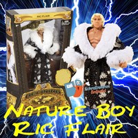 WWE Mattel Elite Defining Moments Nature Boy RIC FLAIR Wrestling Figur WCW Basic