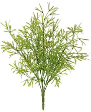 Select Artificials Asparagus Foliage, 13.5" (Dfa1018Ng)