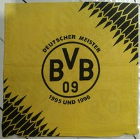 BVB Kissenhülle
