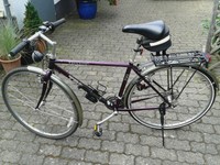 TREK Herrenfahrrad Trekking 750
