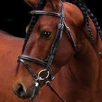Amigo Deluxe Bridle, Amigo Trense, Trensenzaum Horseware