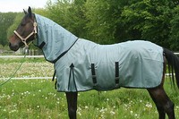 7076 Fliegendecke mit Halsteil und Bauchlatz Weidedecke