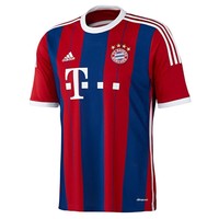 Bayern München Trikot M L Lewandowski Müller Ribery Robben Beflockung möglich