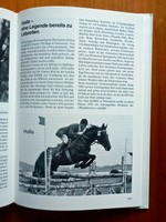 Sportpferde aus Hessen * Warmblut Zucht Hengste Stuten Linien Sportpferde FOTOS