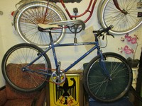 Individual Neuaufbau Pacific Cycles MTB 26" blau  Single Speed Model Aspen TOP