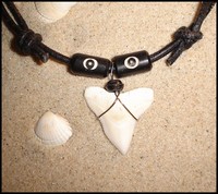 GROSSER HAIZAHN~LEDER KETTE~SURFER~HAI~ZAHN~HAIFISCHZAHN~SURFERKETTE~KNOCHEN~WGT