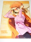 Bakemonogatari Nadeko Sengoku Nishio Ishin Anime Project Clear File Japan 