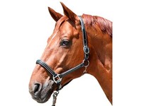 Lederhalfter Veronika HKM weich unterlegt Halfter Ziehrnähte Softleder Leder 