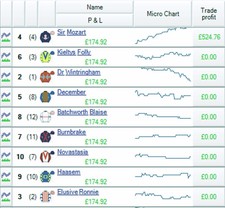 Betfair horse racing trading systems