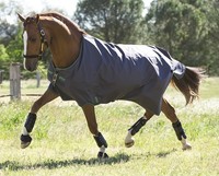 HORSEWARE Amigo Hero6 lite light Regendecke Übergangsdecke Outdoordecke pferdo24