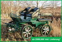 Kutsche Fahrschulwagen Marathonwagen 25" RAL6005 Wagonette Kutschen mit Tacho