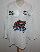 VINTAGE BASEL KANTONALBANK ICEBEARS  XXL  NO 9 DOLD CCM