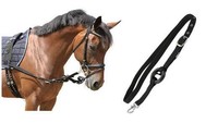 2 Ausbindezügel Ausbinde Hilfszügel Longierhilfe Longierzügel