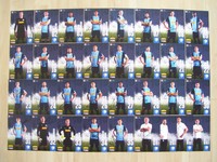33 Ak Autogrammkarten VFL Bochum 2015/16 Autogrammkartensatz rar
