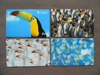 4 Magnetic kaarten gebruikt Singapore  -  BIRDS