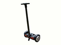 Scooter, 2-Rad Elektro Roller, Stehroller 8FUN TT08