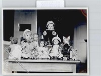 51153692 - Teddys Teddy , Puppen , Foto