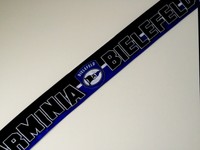 Ultras Arminia Bielefeld Schal Seidenschal DSC keine Aufkleber oder Pins