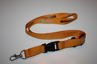 Continental WM 2006 Schlüsselband / Lanyard NEU!!